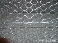 Sell Hot dip galvanized Poultry Netting