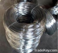 Sell Electrogalvanized Wire