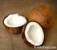 Sell Cocunut Fiber, Coconut Flour, Coconut Meat Dried Coconut