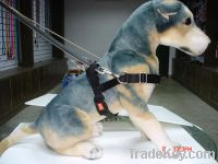 Sell pet harness and leash BDHL11