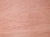 sell marine plywood --BS1088 standard
