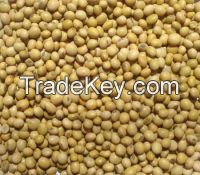 DRIED SOY BEANS