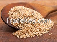 sesame seeds for sale