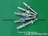 Sell stainless steel wedge anchor fixing system