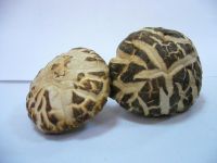Sell Dried Mushroom (sorted out by quality)