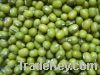 Sell green mung beans (2012 Crop)