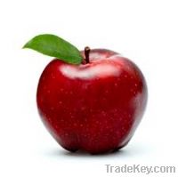 Sell Fresh Red Apples