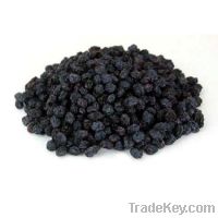 Sell Dried Black Currants