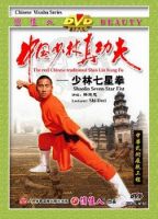 Yongchun Quan DVD kungfu wushu martial arts