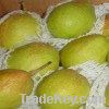 Sell red fragrant pear