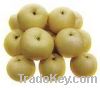 Sell crown pear