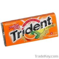 Sell Trident Chewing Gum in Dubai