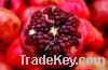 Sell Supplying fresh pomegranate