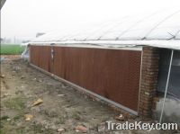 Sell Chicken Cooling System
