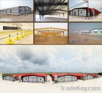 Sell Featured poultry equipment, poultry chain feeding system, automatic