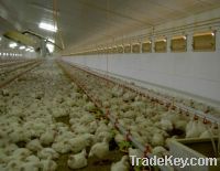 Sell Chicken Broiler Tunnel Ventilation System Supplier