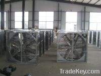 Sell Project case - Poultry fan , Poultry equipment
