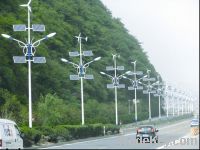 Sell solar-wind hybrid street light LM-TG002