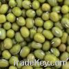 Sell Green Mung Beans, Red Kidney beans and Black Kidney beans