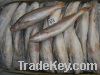 Sell Silver Croaker Fish