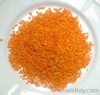 Red Split Lentils for sale.