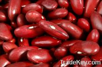 Red /// white kidney beans, lotus seed