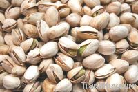 PISTACHIO NUTS READY FOR EXPORTATION