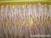 Sell Frozen chicken feet, chicken paw and gizza