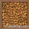 Sell Bettel nuts raw and processed