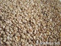 Sell Flax seeds, Chai seed sunflower seeds