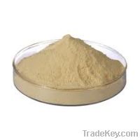 soybean protein hydrolysate