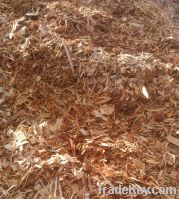 wood fuel chips