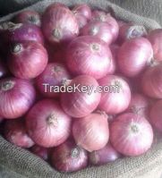 Red Onion