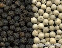 Sell white pepper