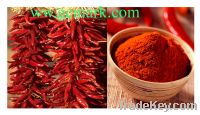 Sell vietnam chilli powder
