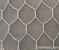 Sell galvanized gabion mesh