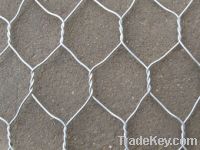 Sell Galvanized Hexagonal Wire Netting