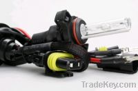 Sell 35W Auto Lamps