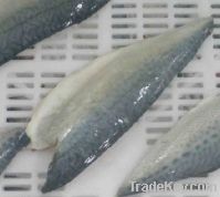 Sell IQF frozen pacific mackerel fillet