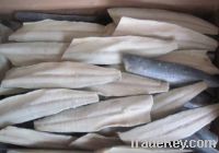 Sell frozen spanish mackerel fish fillets(best quality)