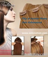 Sell 100% clip in human hair extensions