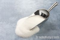 Refined EU Beet Sugar