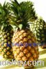 Sell Pineapple--Direct Origin