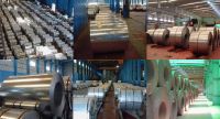 Sell Hot Rolled (HR) Steel Coils