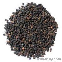 Selling black pepper