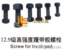 Sell screw for track pad