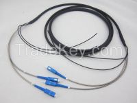 Outdoor Armored  Patch cord  LC/ LC  2Core