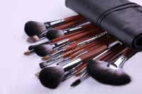 Sell Professional Cosmetic/Makeup Brush Set (22pcs/set)