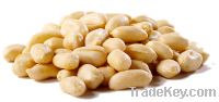 Sell Blanched Peanuts Snacks