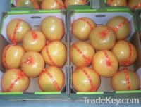Sell honey pomelo